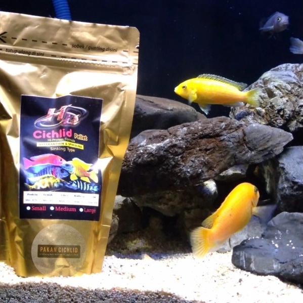 [PAKAN CICHLID] Pelet Ikan HD CICHLID sinking (tenggelam) 250 gr