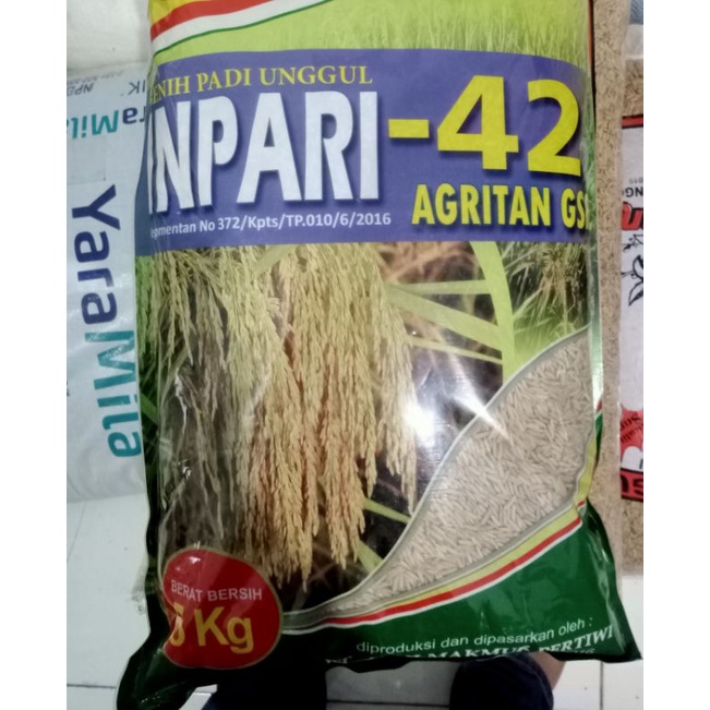 Benih Padi Inpari 42 5kg Pertiwi,exp April 2023