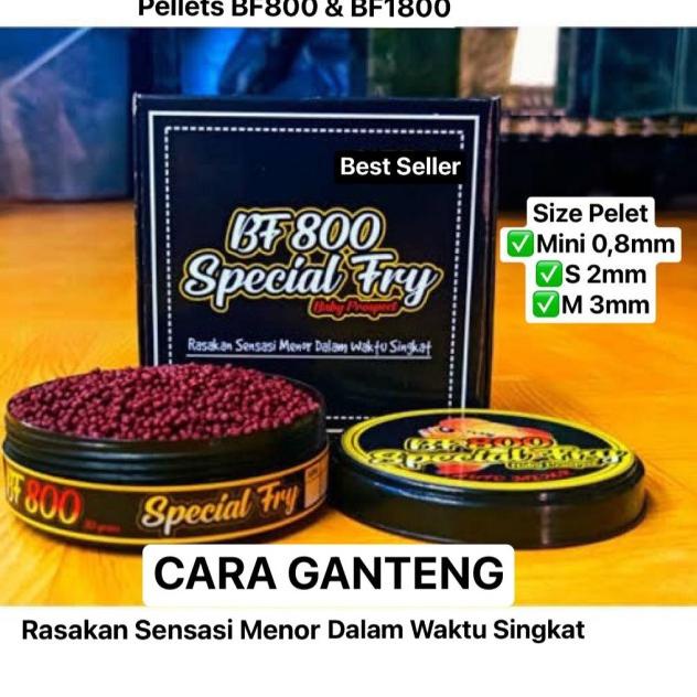 PELET BF1800 & BF800 STRONG COLOR BIG HEAD PAKAN LOHAN LOUHAN TERBAIK - BF800, Mini