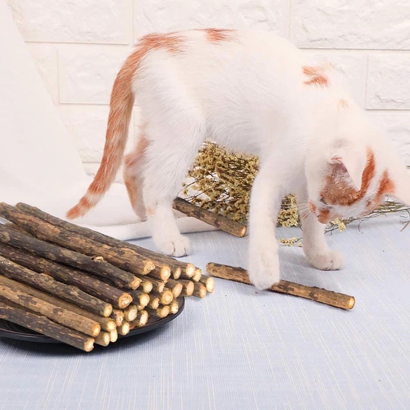 ORIGINAL 100% CATNIP BATANG MURNI BERAROMATIK EFEK PENENANG DAN MENIMBULKAN KEBAHAGIAAN SI KUCING