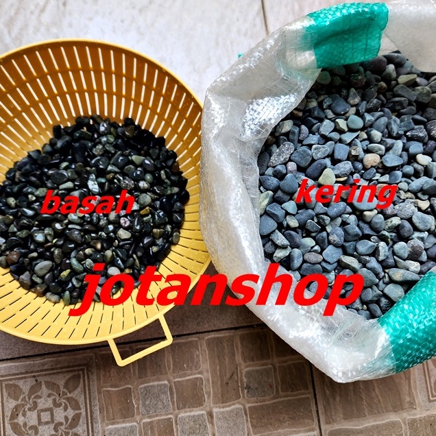 Batu Kupang Coral Koral Hitam Kecil 500gr Batu Alam Hias Taman Alor Kerikil Hitam Aquarium Aquascape Kolam 500 gr