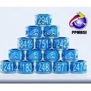 ヿ ring si 2023 ppmbsi ヷ