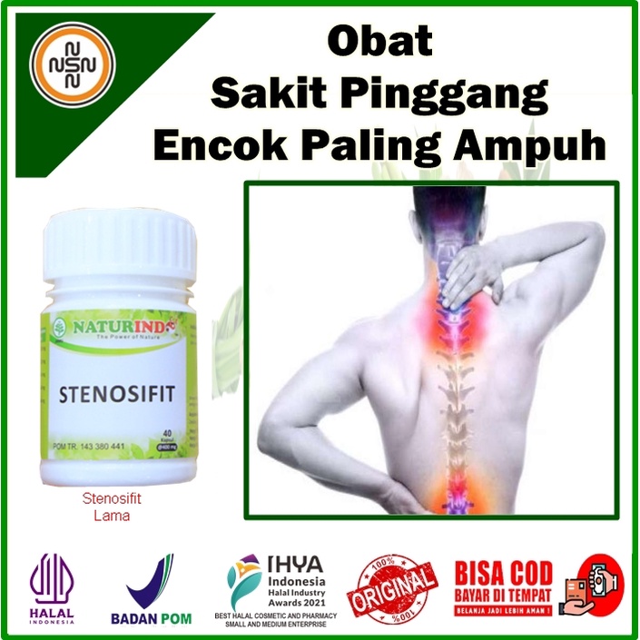 Jual Obat Herbal Syaraf Pinggang Kejepit Dan Encok Sakit Tulang