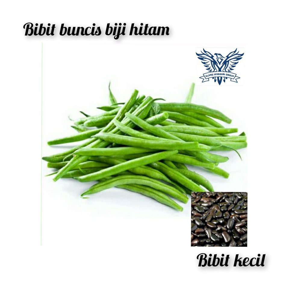 Bibit Buncis Biji Hitam Kemasan Kecil