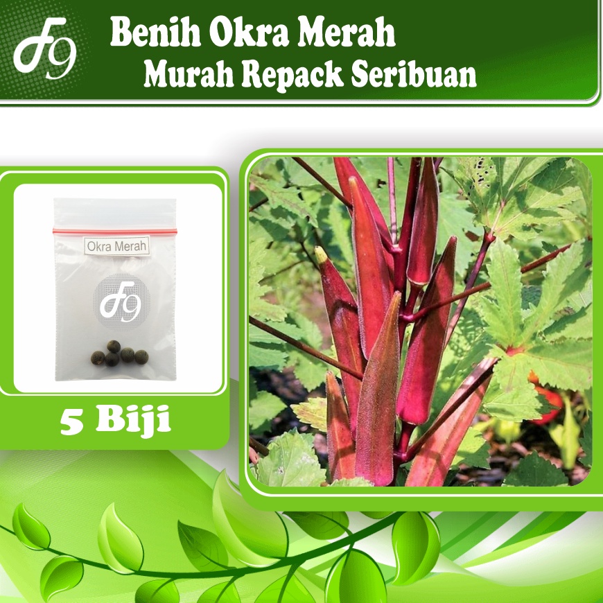 Benih Bibit Okra Merah Murah Repack Seribuan