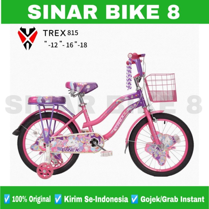 Sepeda Anak Perempuan MINI TREX 815 Ukuran 12&quot; 16&quot; dan 18 Inch Keranjang