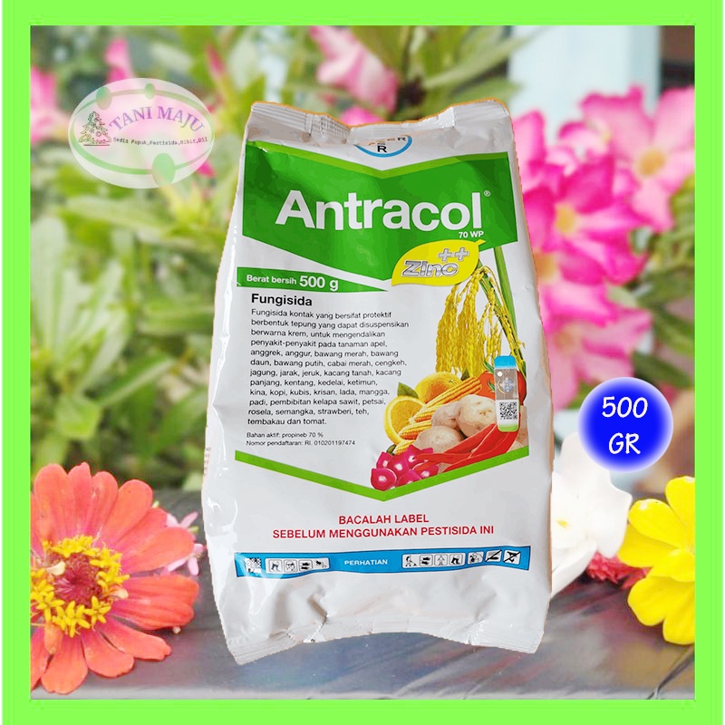 Jual Fungisida Antracol Wp Zinc Kemasan Pabrik Gr Shopee Indonesia