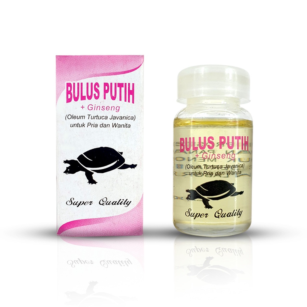 PROMO MURAH [BISA COD] MINYAK BULUS PUTIH HERBAL ORIGINAL 100%