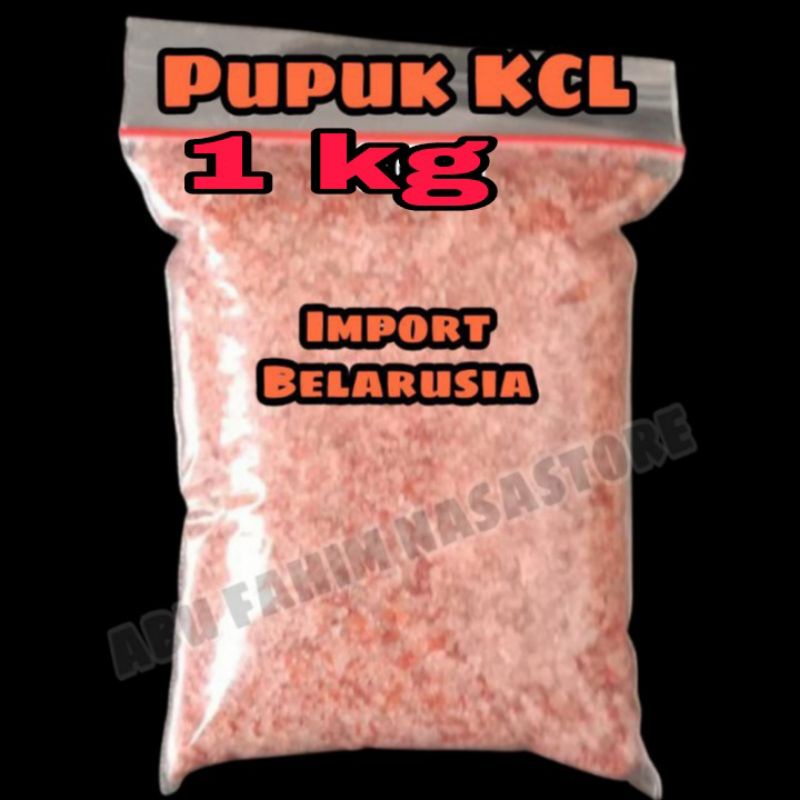 PUPUK KCL IMPORT BELARUSIA 1 KG / KCL SASCO IMPORT BELARUSIA / PUPUK BUNGA