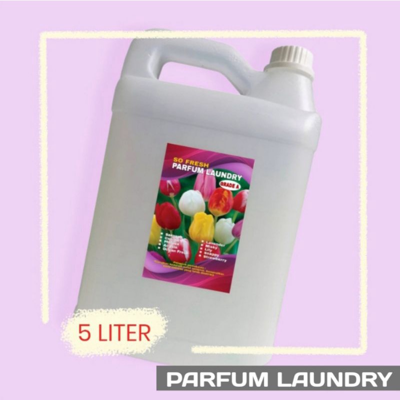 PARFUM LAUNDRY GRADE A  5 LITER