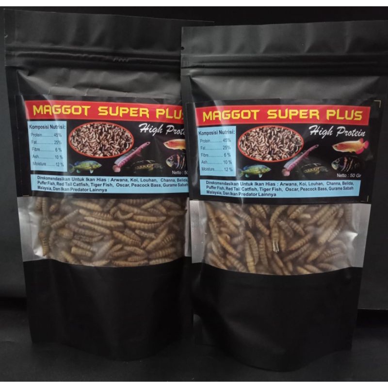 Maggot Super Plus 50g BSF Ulat Hongkong Pakan Arwana Louhan Channa