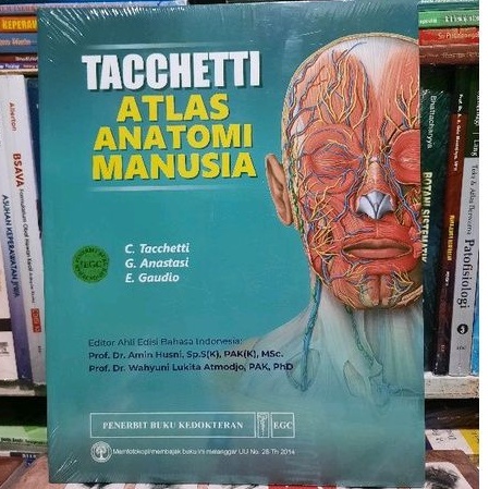 ATLAS ANATOMI MANUSIA TACCHETTI
