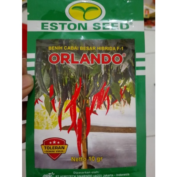 Benih Bibit cabe merah besar Orlando F1 10 gram Tahan Virus kemasan original pabrik