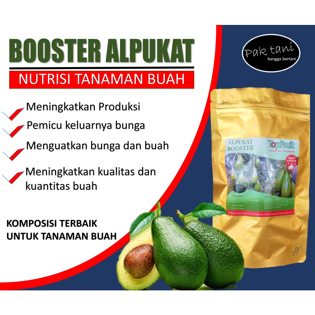 Jual Pemupukan Tanaman Alpukat Agar Cepat Berbunga Dan Berbuah Memaksa Pohon Alpukat Berbunga