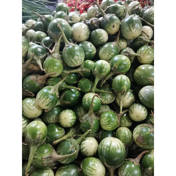 

TERONG KECIL KECIL/LALAP 250G