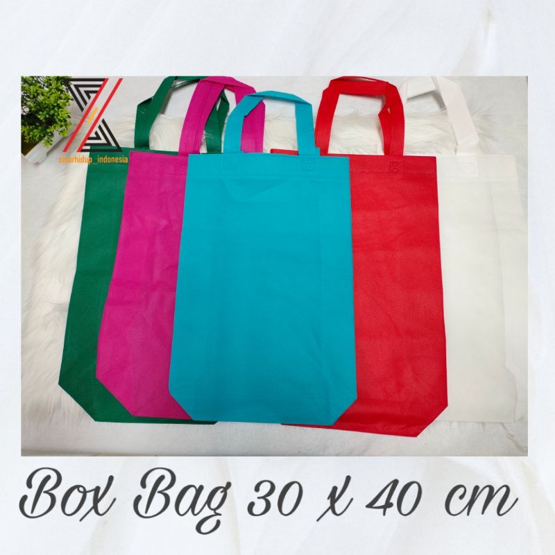 

Tas Kain Goodie Bag BOX BAG SPUNBOND Uk 30 x 40 PER LUSIN