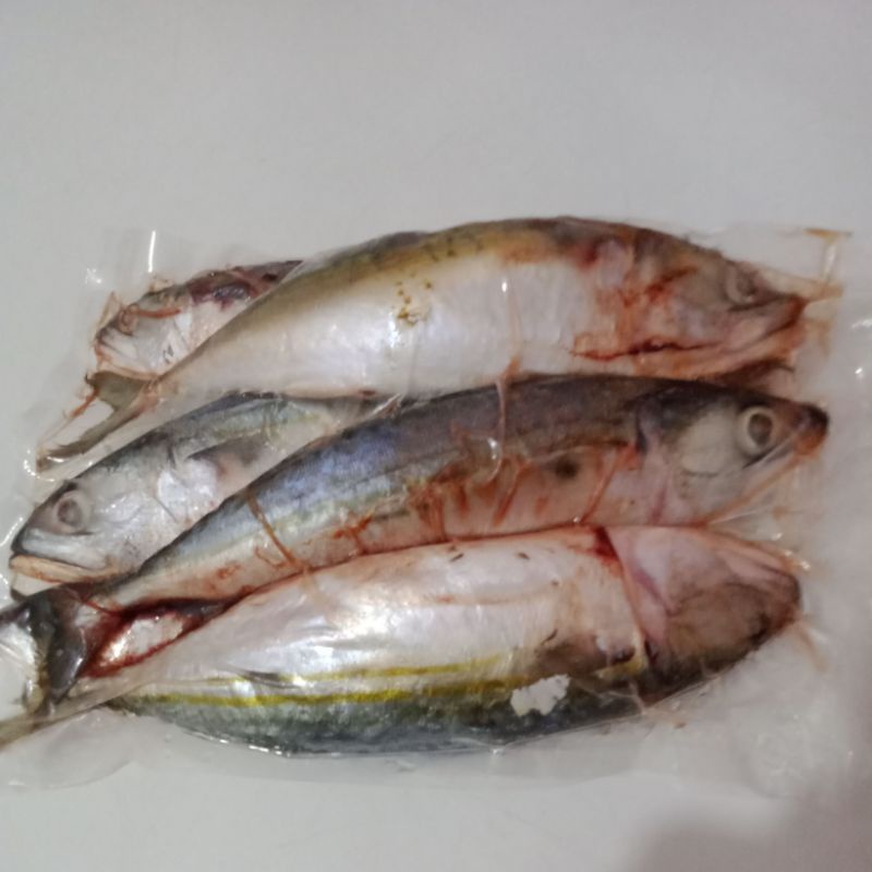 

IKAN KEMBUNG BANJAR KUALITAS SUPER 1KG