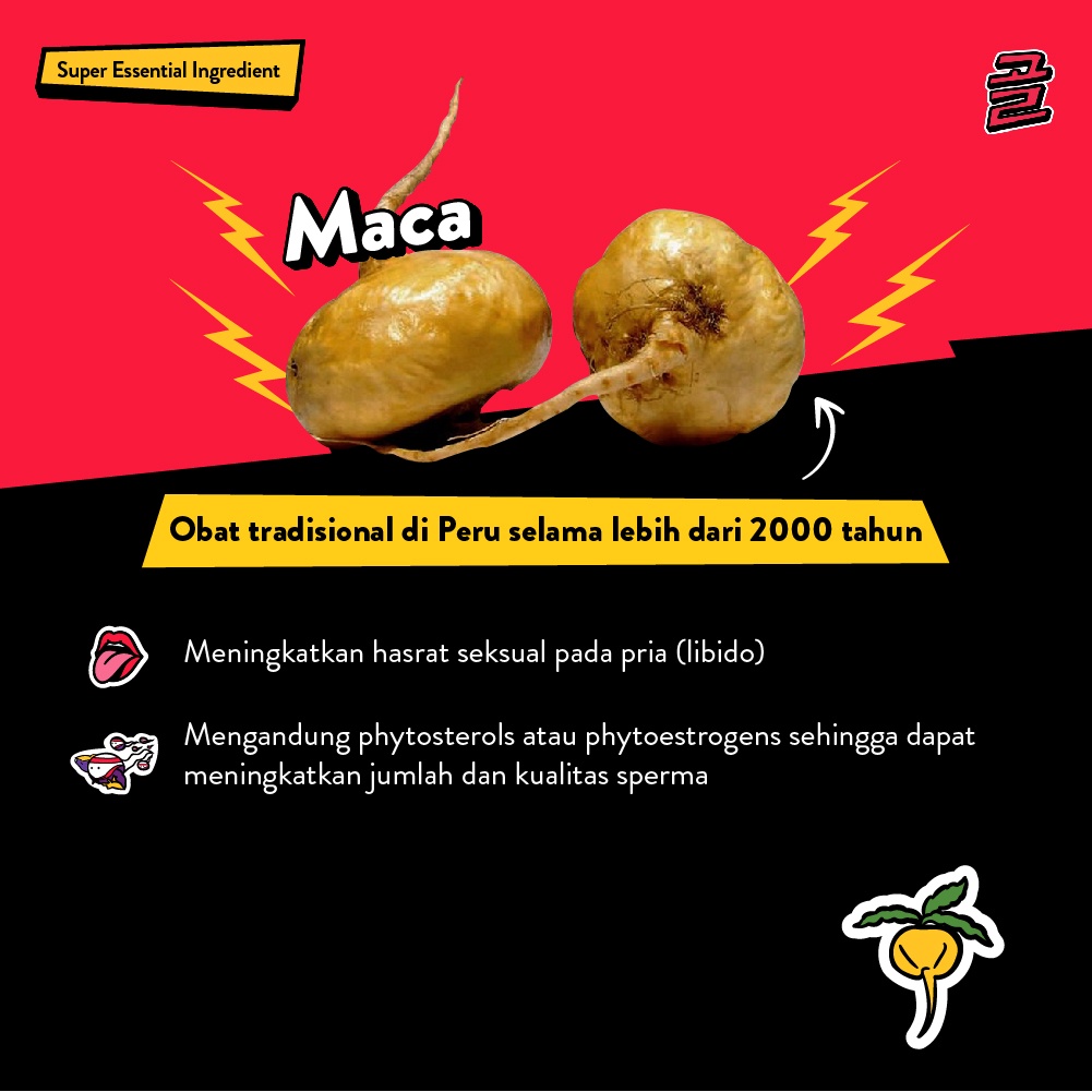 MISTER GOLO SUPLEMEN STAMINA PRIA GINGSENG BPOM MR TONGKAT ALI GING SE