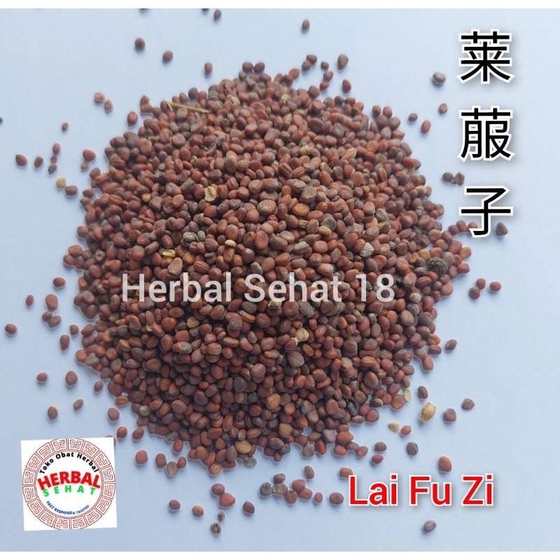 

100 gram - Lai Fu Zi 莱菔子 Radish Seed Loi Fu Ci Semen Raphani Sativi