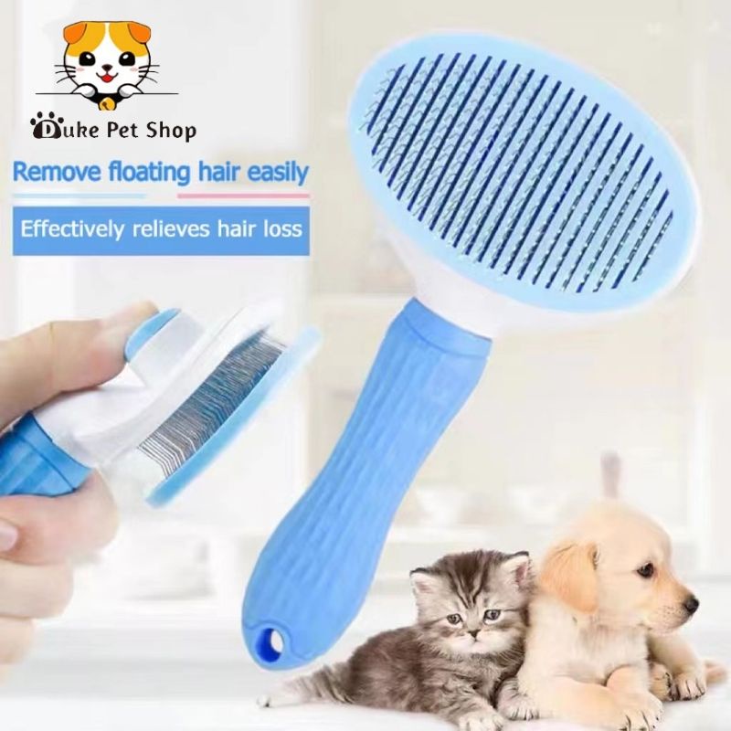 Sisir kucing sisir bulu kucing isir kucing bulu rontok