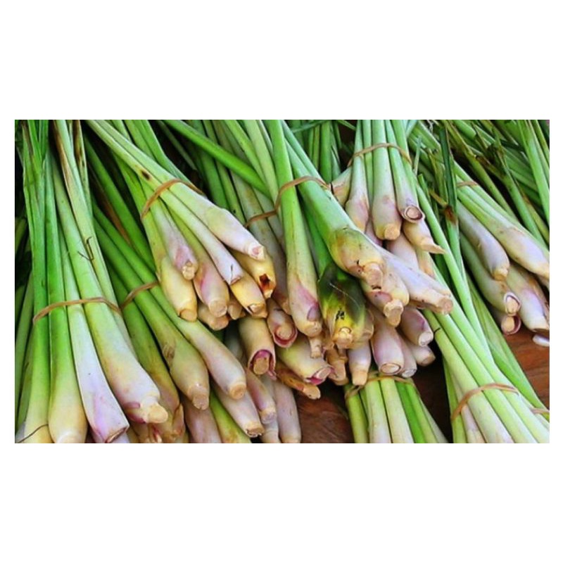 

SERAI bumbu dapur alami100%