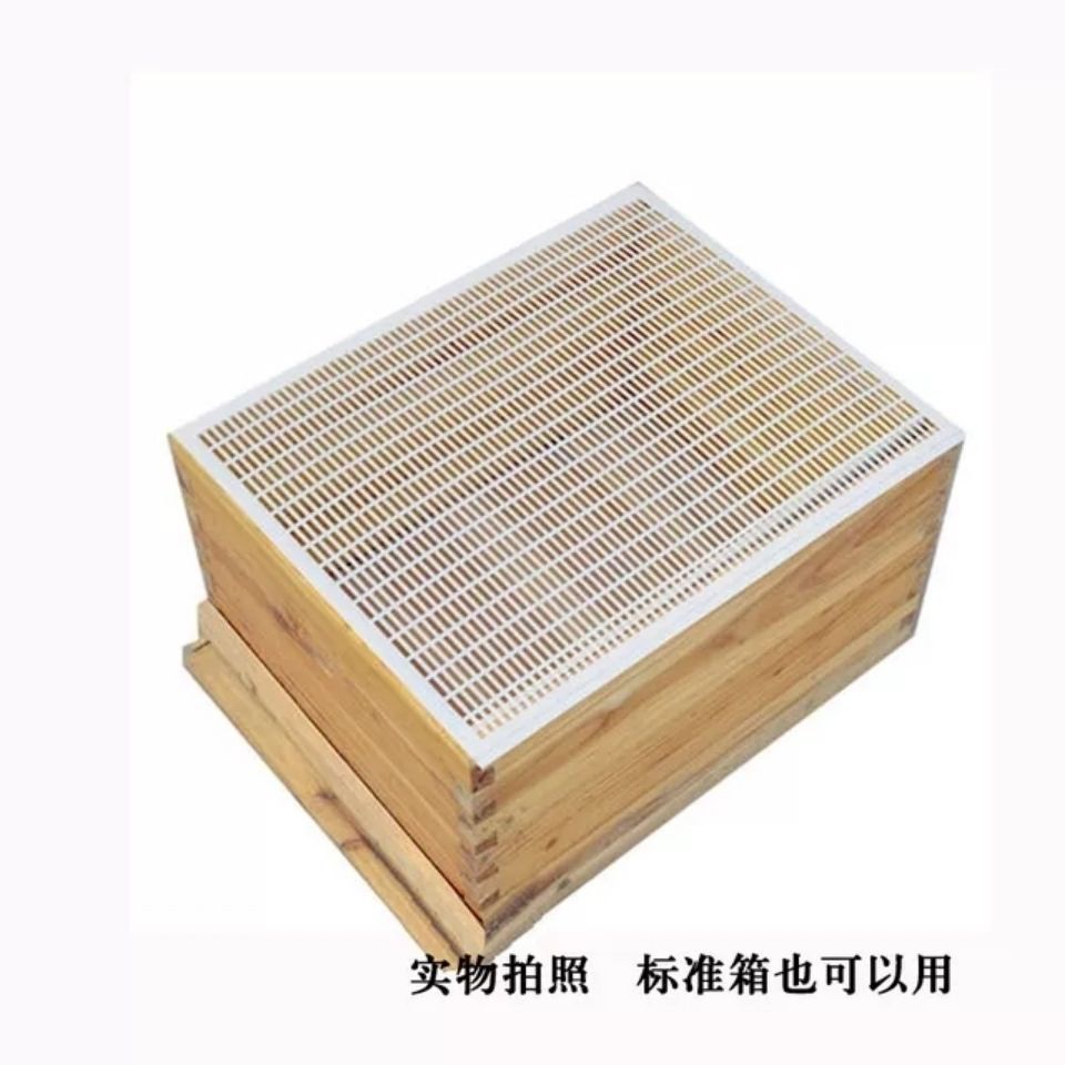 Lebah Cerana - Lebah Melifera - Lebah Bersengat - Lebah Sengat - Kotak Lebah Pemberhentian Ratu