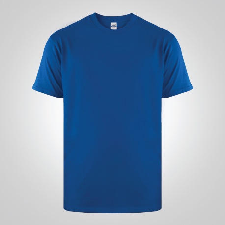 NSA - Heavy Weight T-Shirt 5400 Royal Blue