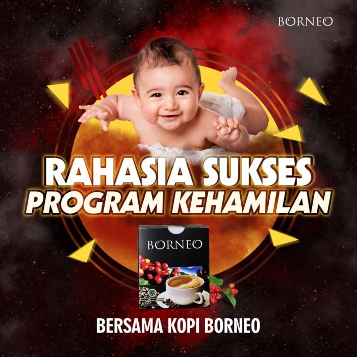 

KOPI BORNEO KOPI PEDE RAHASIA SUKSES PROMIL