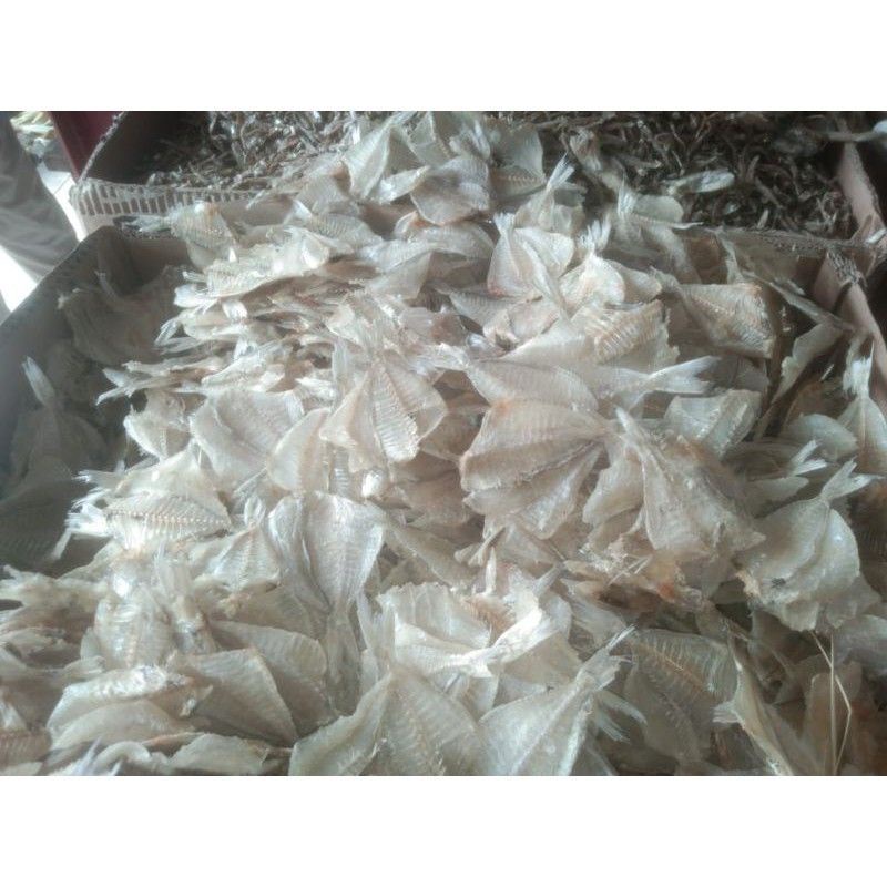 Jual Ikan Pakang Ikan Kapasan Kering Ikan Asin Kapasan Kering 100 Gr Shopee Indonesia