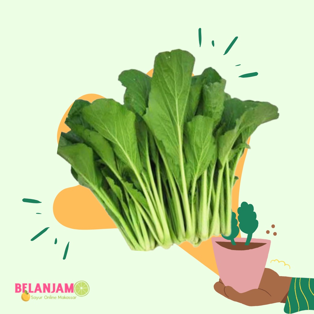 

Sawi Hijau Segar - Belanjamo