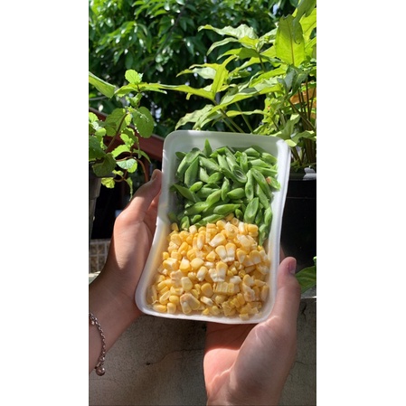 

Paket Tumis Buncis Jagung