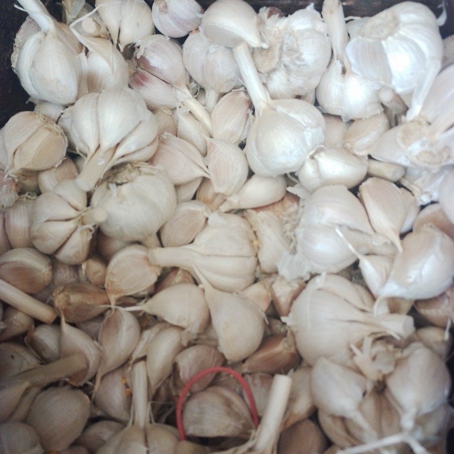 

Bawang Putih Kating bersih utuh - 250 gram