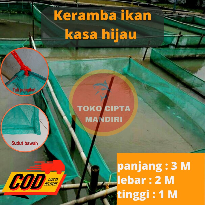 keramba ikan hapa ikan keramba ikan kecil kasa hijau 3x2x1