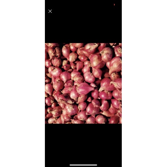

bawang merah brebes