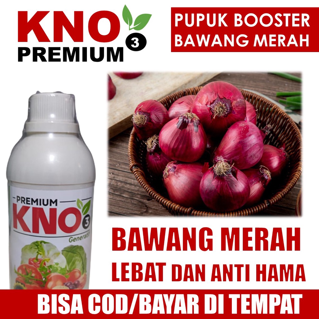 PROMO Obat Pelebat BAWANG MERAH KNO3 PREMIUM 500 ML - Pupuk KALIUM Cair Melebatkan BAWANG MERAH Lebi