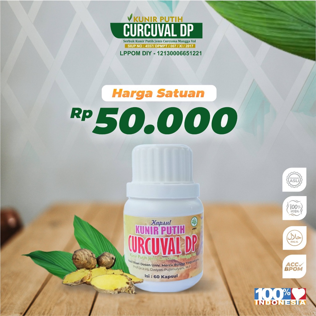 Kunir Putih Isi 60 Kapsul Herbal Kunir Putih Kapsul