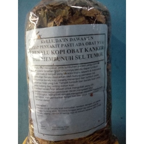 

Benalu kopi obat kanker 1 kg