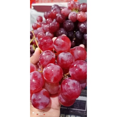 

buah segar anggur fresh import manis kiloan