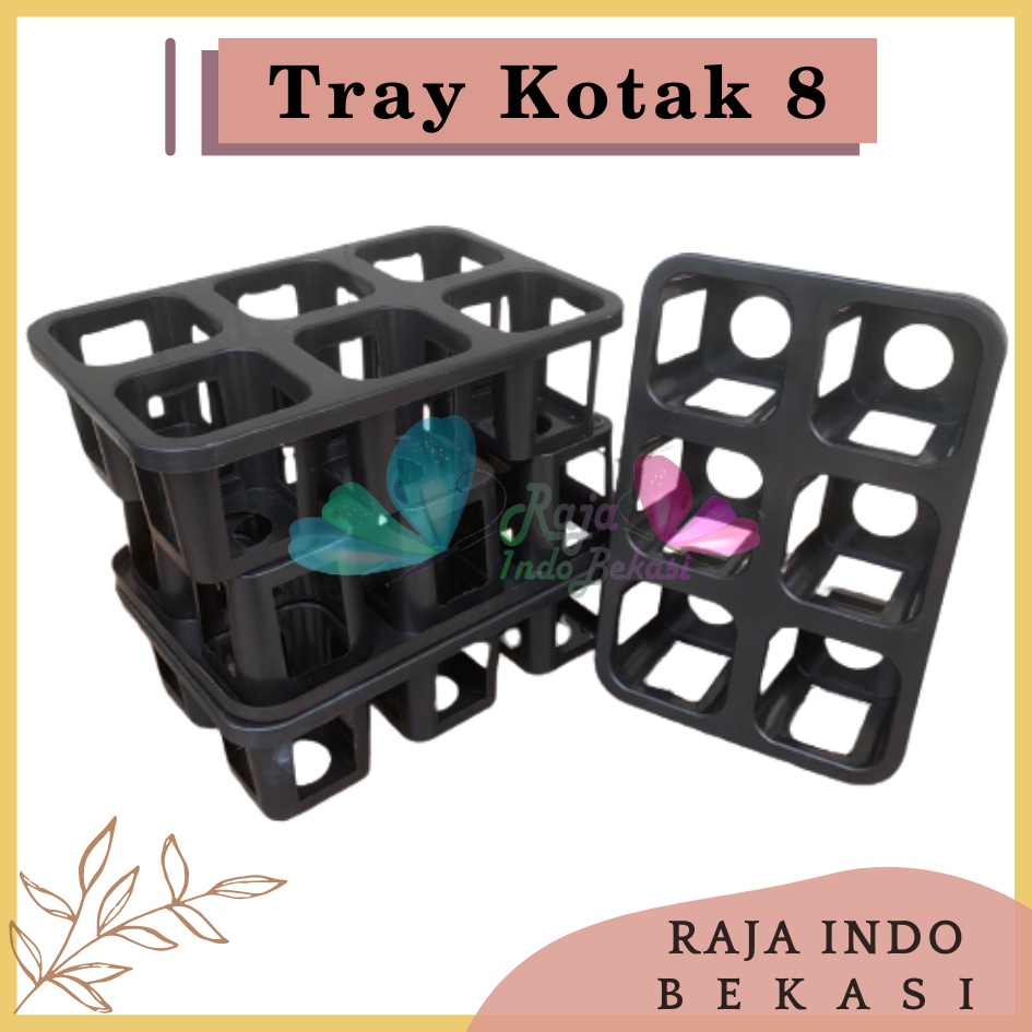 Tray Pot Kotak 8 cm Warna Hitam Tray Semai Bibit TRYPOT KOTAK 8 cm NKT 8 cm NKT JUOSS 8 Tray Semai 200 105 50 128 72 288 Lubang Padi Tutup Tebal-Tray pot nkt kotak 8cm (tanpa pot) | nkt kotak 8cm | tray semai bibit