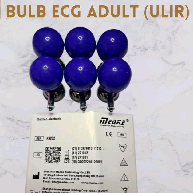 Bulb Ecg/Bulb Ekg/Balon Ekg Monitor Adult With Screw