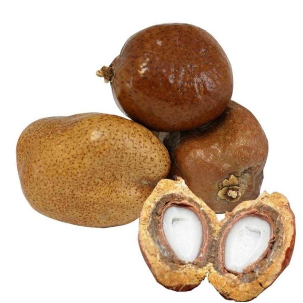 Buah Zuriat Mesir / Zuriat Promil ORIGINAL