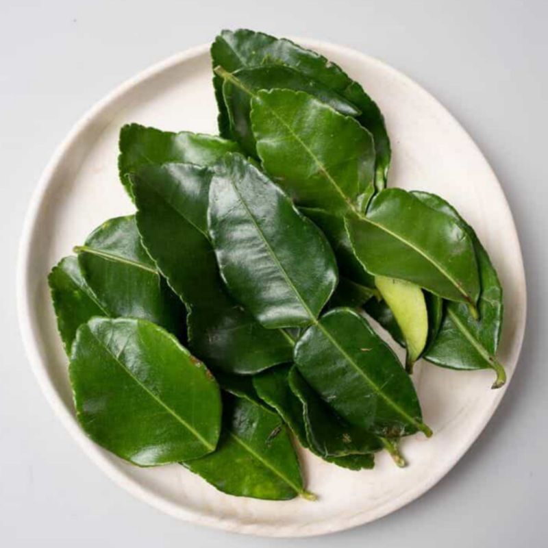 

[Fresh] Daun jeruk 50 Gr Fresh Segar Wangi | Hasil Lampung