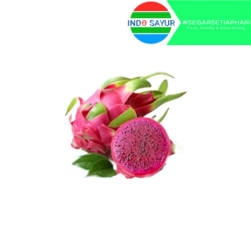 

Buah Naga Super Premium 1kg