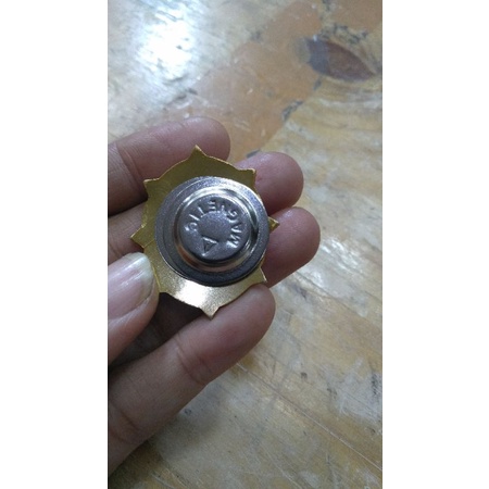 PIN APIP INSPEKTORAT