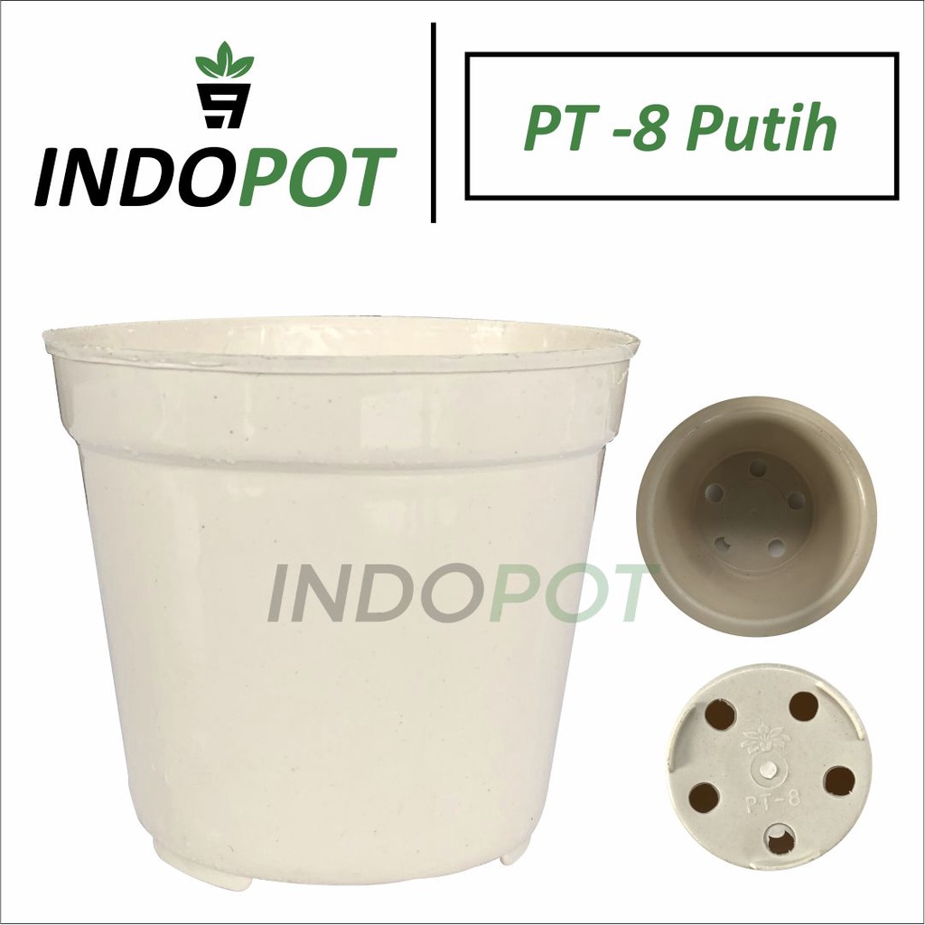 Pot PT 8 Warna Putih Pot Kecil Bibit Tanaman Bunga Hias - Pot Putih - Pot 8cm