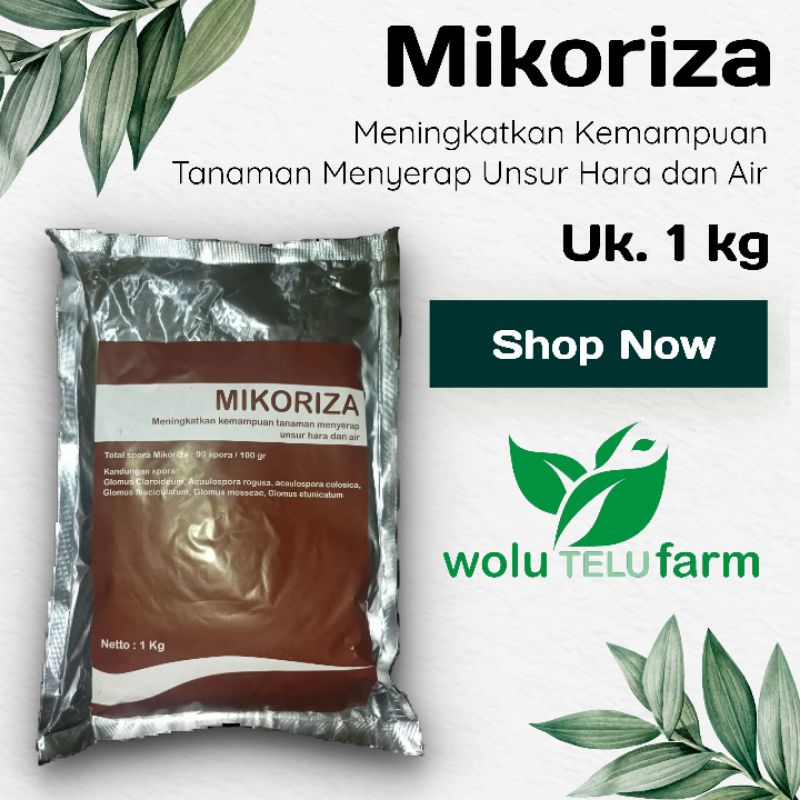 Jual Pupuk Mikoriza Kemasan 1 Kg | Shopee Indonesia