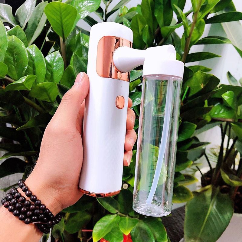 New Model Semprotan Elektrik Cordless Disinfektan Nano Water Spray Oxygen Injector Flairosol 80ml Spray Gun