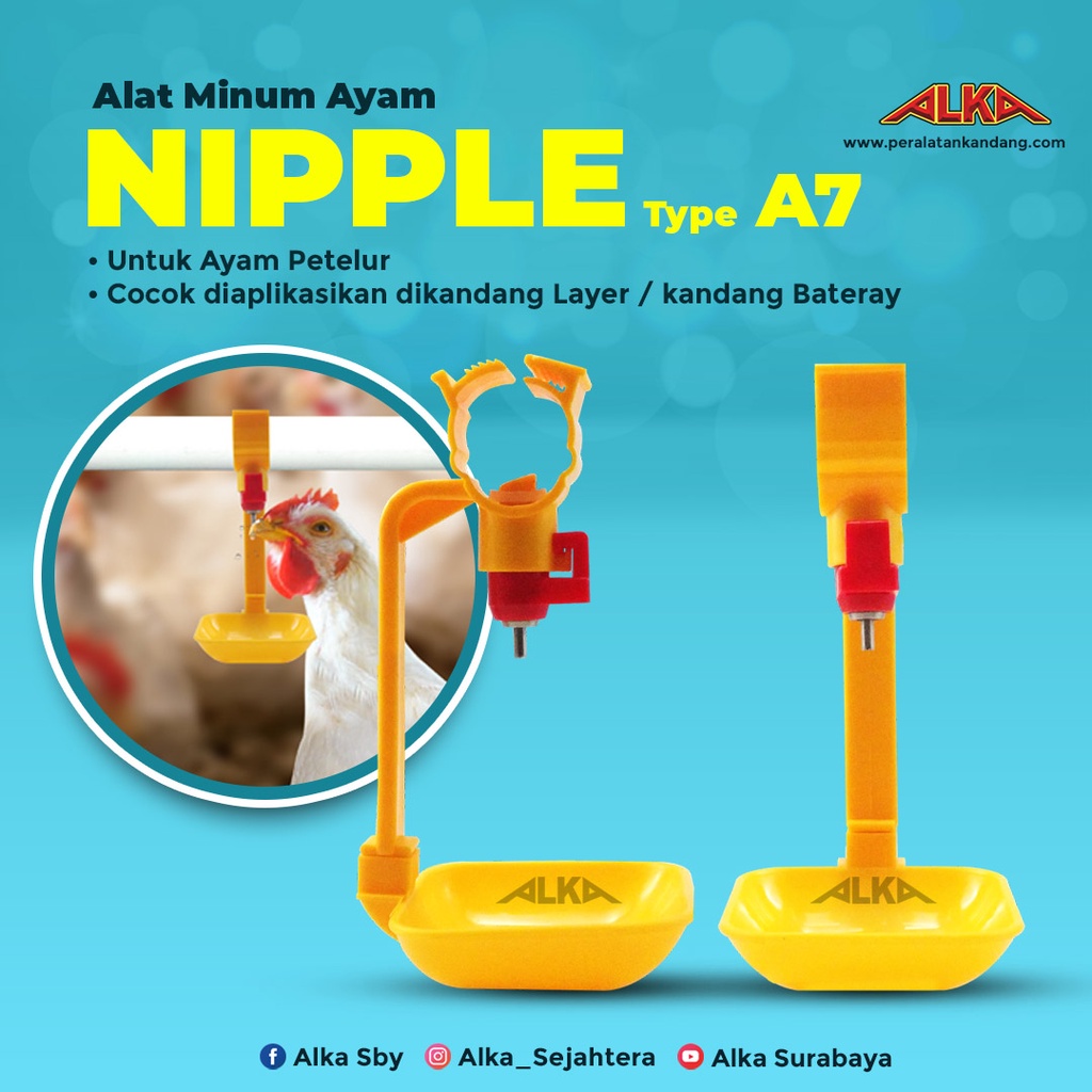 Nipple A7 Nipel Tempat Minum Ayam Petelur Layer Pipa 3/4 Inch