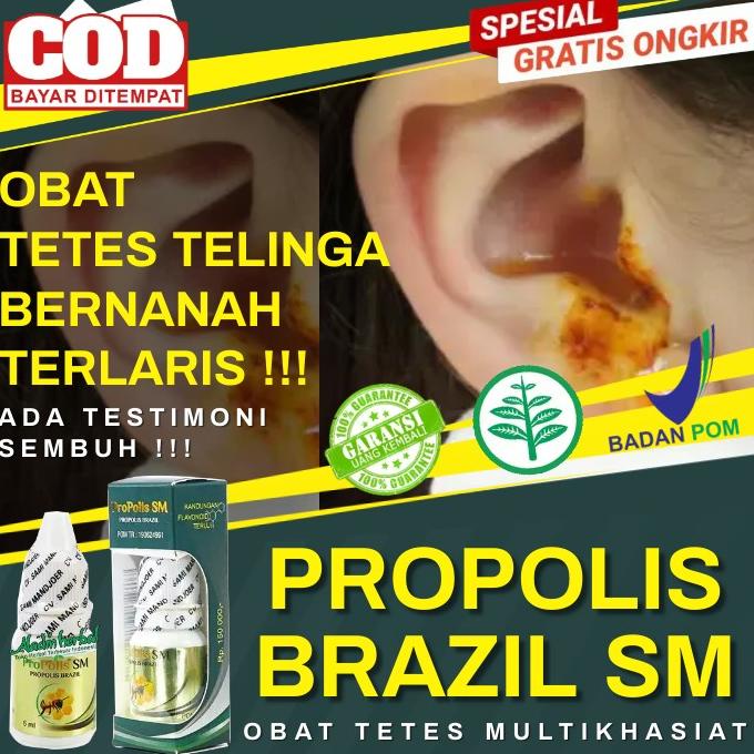 

Sale COD - Obat tetes telinga bernanah dan bau Berair - Propolis Sm Brazil /OBAT TELINGA BERDENGUNG/OBAT TELINGA BERAIR/OBAT TELINGA TERSUMBAT/OBAT TELINGA BUDEG/OBAT TELINGA BERNANAH