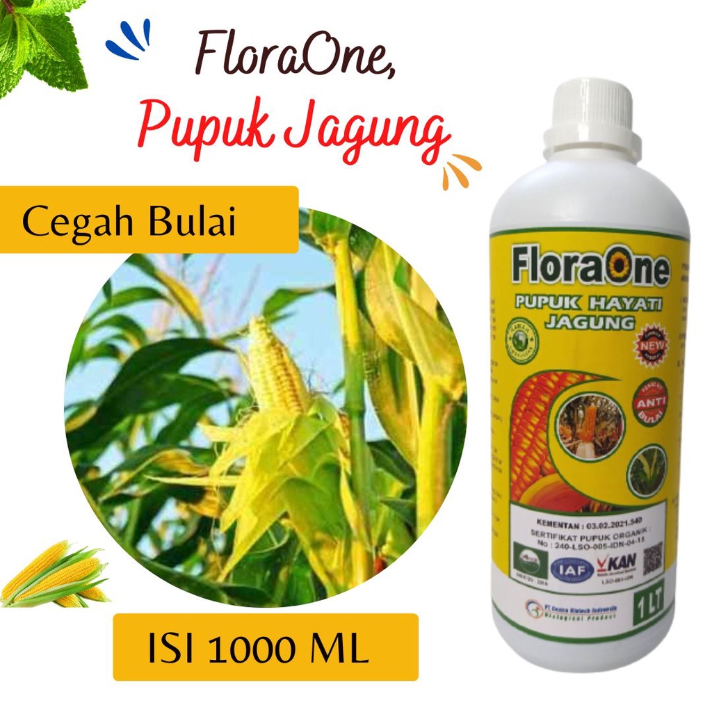 Pupuk Jagung Hasil Melimpah, Obat Fungisida Untuk Jagung Manis, Pupuk Hayati Jagung